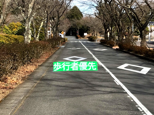 八王子国際キャンパスに交通安全立体路面標示を設置しました1