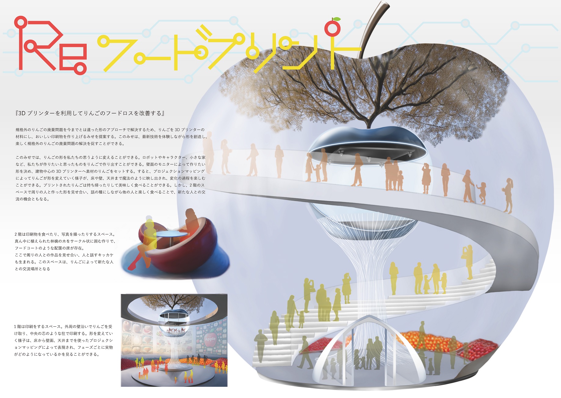 20250121_shiraisiterumi04